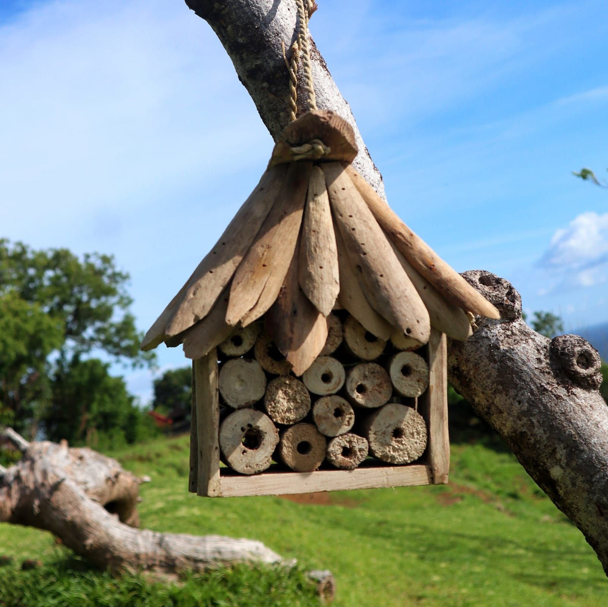 Holzhaus für Bienen und Insekten aus Treibholz